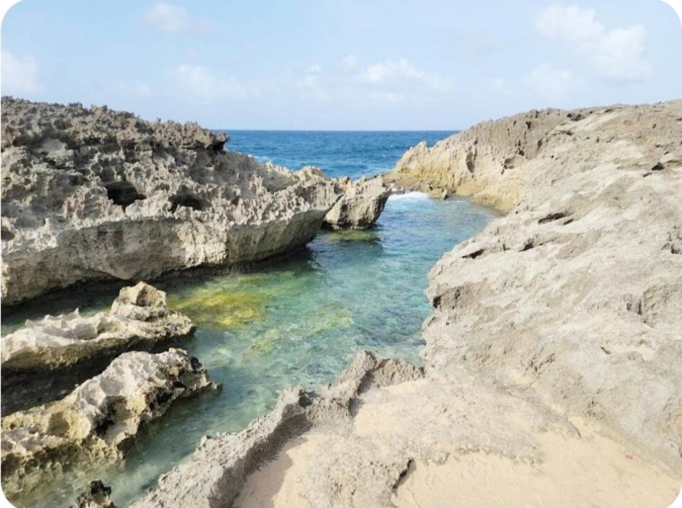Casa Palmera Vega Baja Zewnętrze zdjęcie