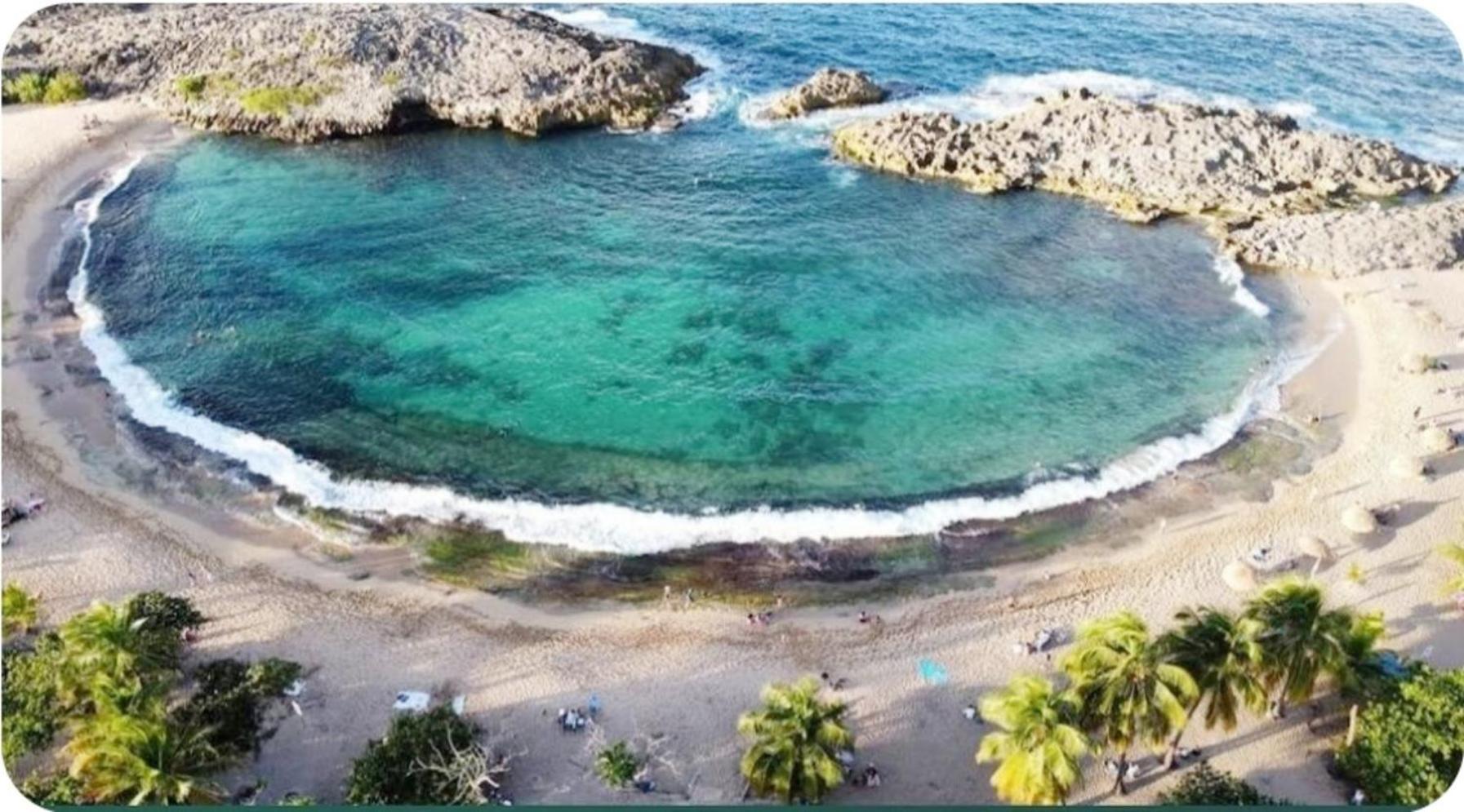 Casa Palmera Vega Baja Zewnętrze zdjęcie
