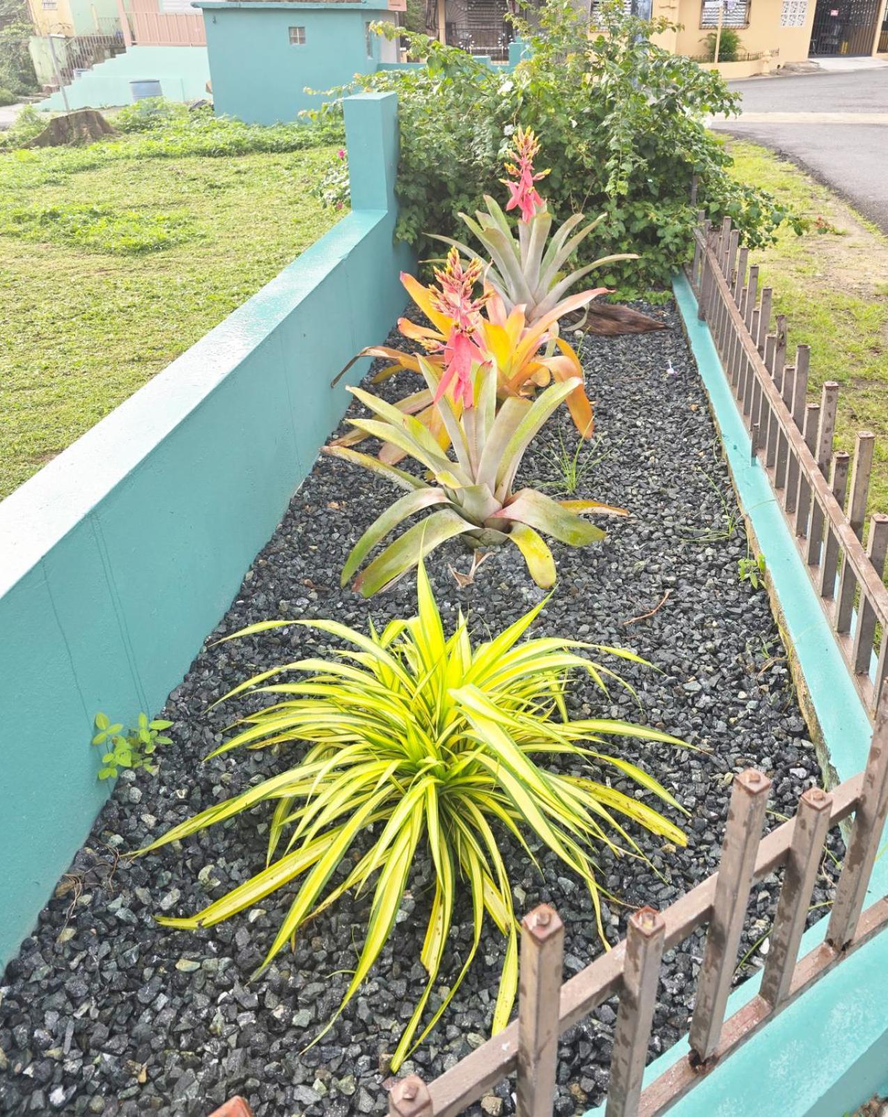 Casa Palmera Vega Baja Zewnętrze zdjęcie